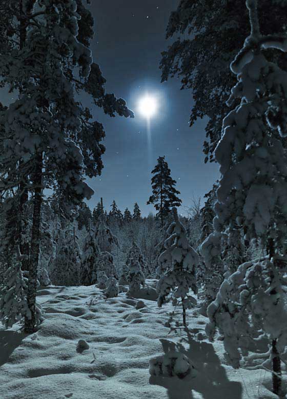 Fotografias noturnas foto noturna 5 20 Espetaculares Fotografias Noturnas