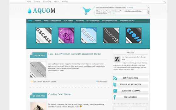 Temas WordPress