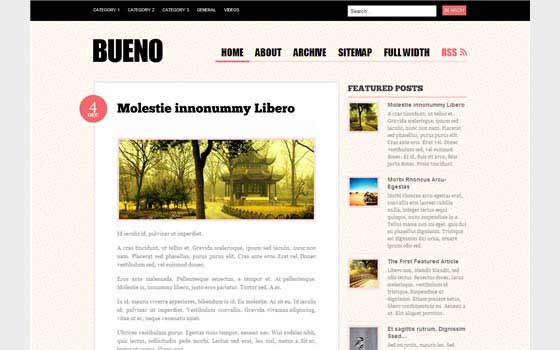 Temas WordPress