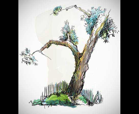 +280 Brushes Inspirados na Natureza [Photoshop]