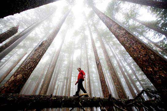 National Geographics International Photography Contest 2009