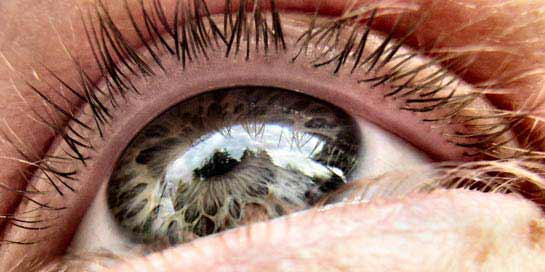 Olhos