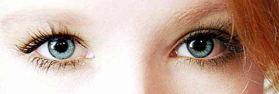 Olhos