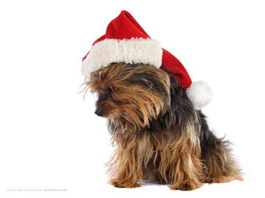 wallnatal 28 Wallpapers de Natal