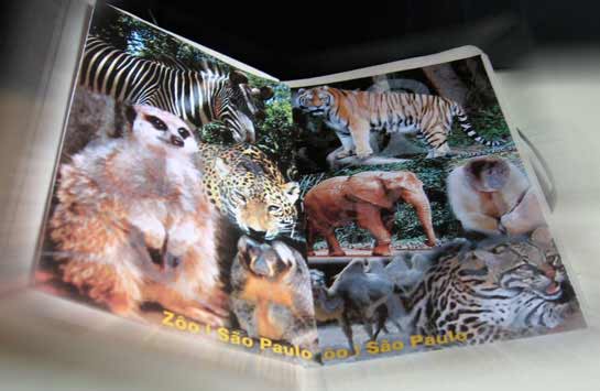 Zoológico