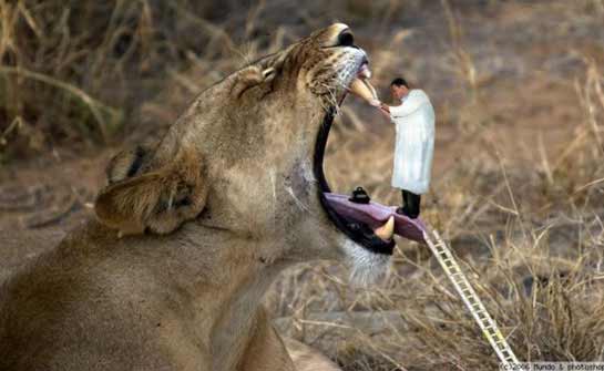 Imagens Photoshopadas