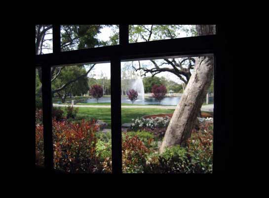 Neverland