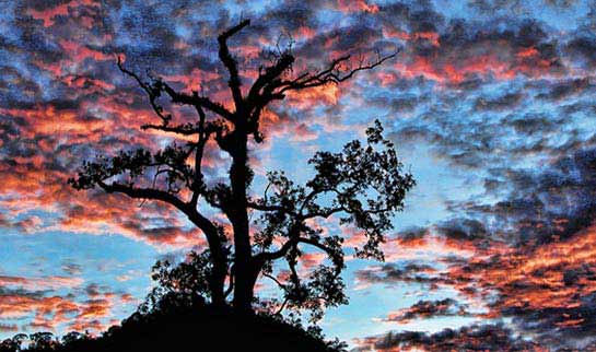 Pôr-do-Sol