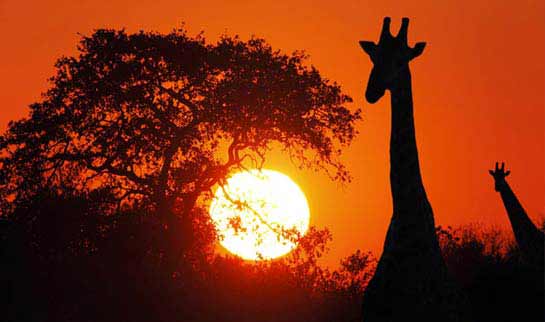 Pôr-do-Sol