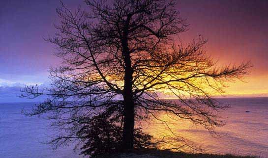 Pôr-do-Sol