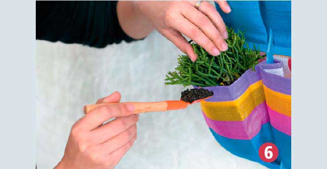 Complete com terra em volta das plantas e regue com um pouco de água